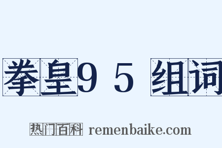 拳皇95组词是什么意思的图片